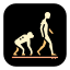 Darwin's Evolution